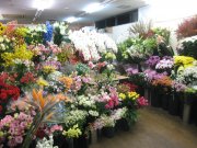 「フローリストすずき」　（宮城県仙台市太白区）の花屋店舗写真2